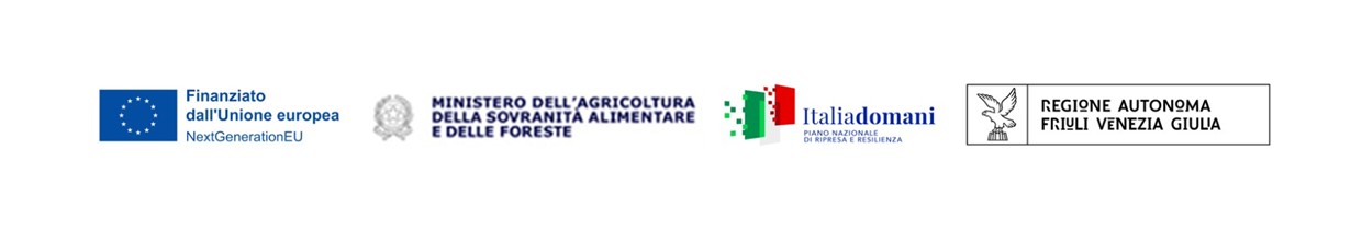 striscia_loghi_PNRR_FVG_imm